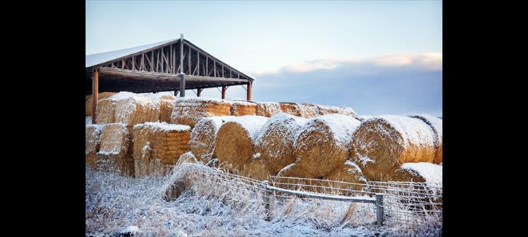Mission Valley's first snow fell Tuesday, Nov. 2, providing a quick dusting of white before melting as temperatures warmed. This week's weather forecast calls for more snow starting Wednesday.