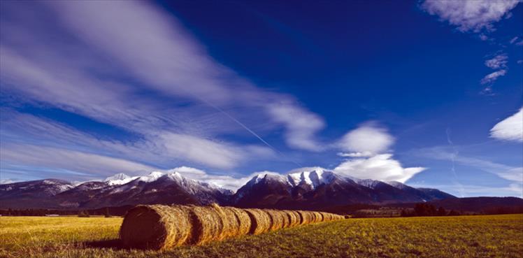 Fall's warm hues stand in contrast to winter's approaching cloak of white.