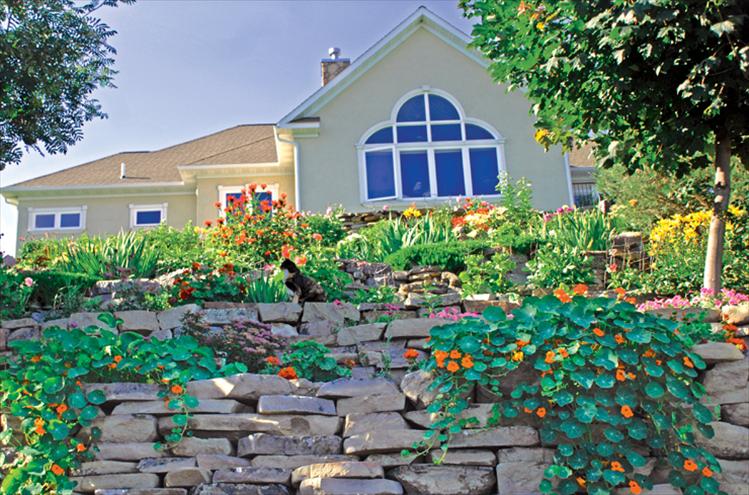 Best blooming residence winners are Jim and Joanne Simpson. “We both have skin in this project,” Jim said, since they hauled in at least 100 tons of rocks and designed the space. The Simpson’s backyard has several levels, stairs, dahlias, flowers, vegetables, trees and shrubs, including blueberries, black hollyhocks and two photogenic cats. Jim said there are three reasons for their landscaping: to grow flowers for Joanne to paint, to raise vegetables to eat and as part of his exercise program.