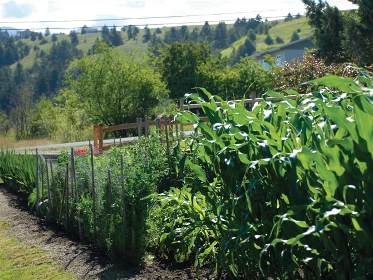 Most beautiful vegetable garden winners are John and Patty Kelly