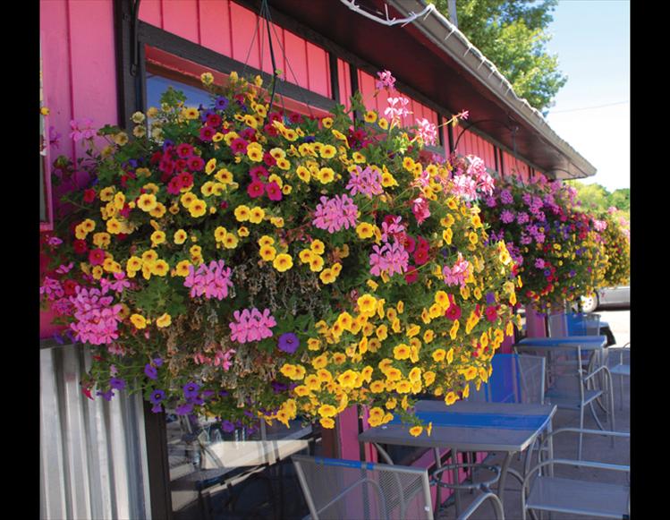 Best blooming business winner is Betty’s Diner owned by Johna and Dan Morrison.  With big blooming baskets of flowers that match and contrast with the pink paint, Betty’s Diner won best blooming business.  Johna Morrison said she’s had customers tell her they come into the restaurant because of all the flowers.