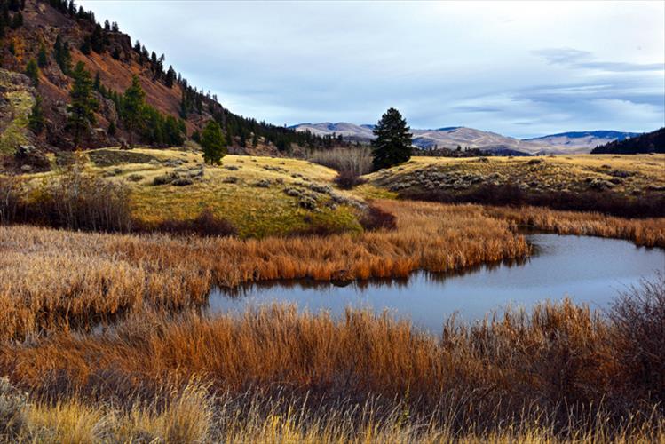 Warm fall colors surround a cool blue pond near the Flathead River just west of Perma Bridge off Highway 200.