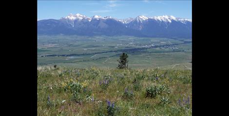 John Weaver’s 159 conservation acres is visible from the National Bison Range