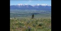 Valley acreage conserved for habitat