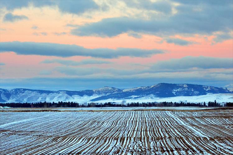 Dawn stripes