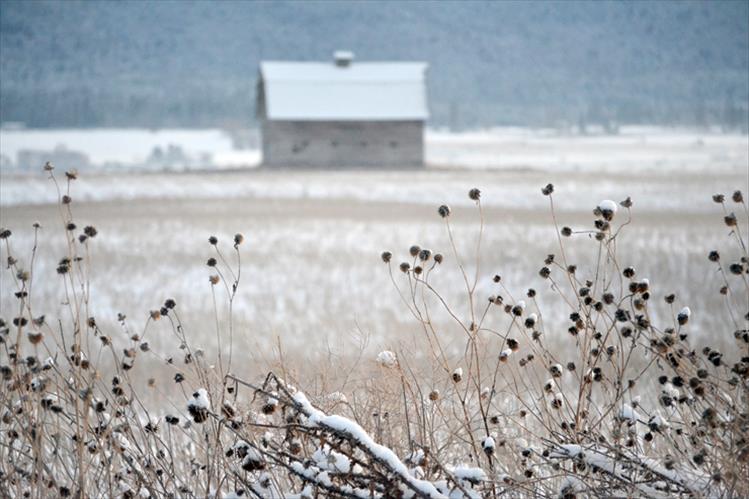 Winter barn
