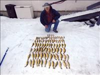 Perch fishing great on East Bay