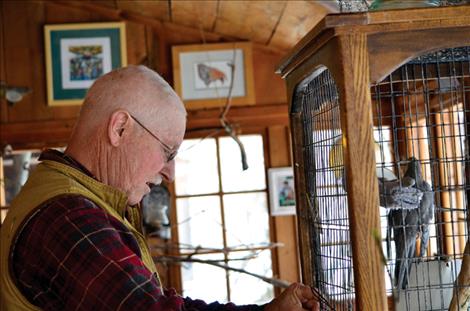 Jerry McGahan puts his writing companion away for the day. The bird flies about the house while he writes and sometimes lands on his shoulder.