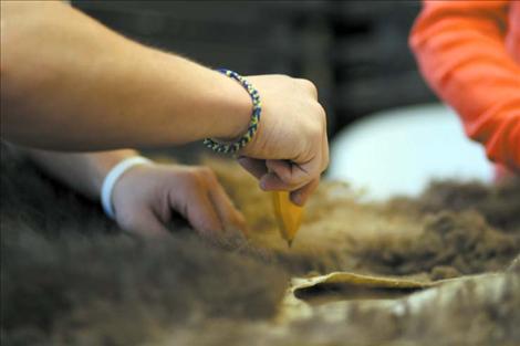 Beau Mills shaves hair off a buffalo hide. The hair is used to stuff the two ends of the  double-ball.