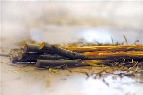 Freshly-cut double-ball sticks await their next game in a pile of shavings. 