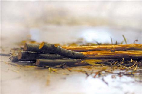 Freshly-cut double-ball sticks await their next game in a pile of shavings. 