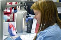 Student interns immersed in medical fields