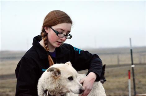 The starting line of the 31st annual Race to the Sky greets mushers on Saturday in Lincoln.