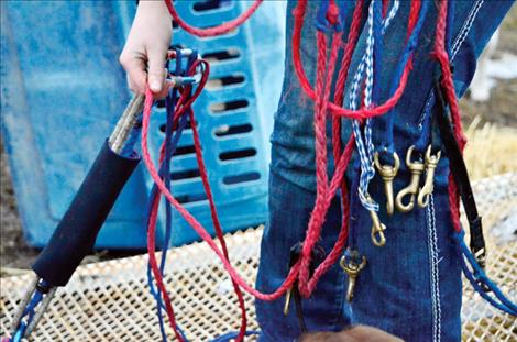 Charmayne Morrison holds colorful gear used to hook the dogs to the sled.