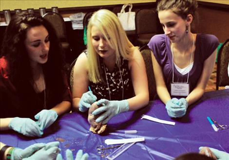 Charlo High School students examine a heart during a school medical program.