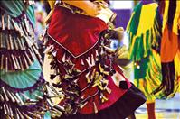Students celebrate culture