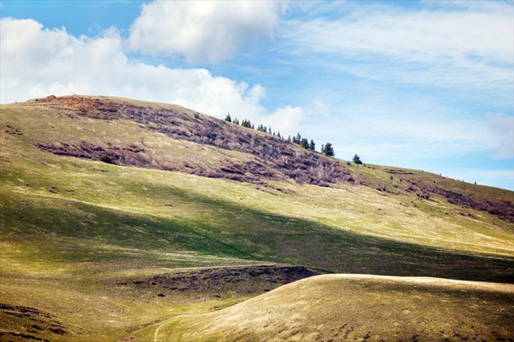 Spring landscape