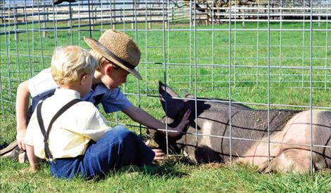 Gabriel Schrock, 8, and Malachi Yoder, 4, visit with a pig during the auction.