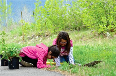 Azaria Courville, 8, and Destiny Courville, 8, work together to put plants in the ground on Earth Day.