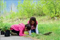 Town comes together to celebrate Earth Day