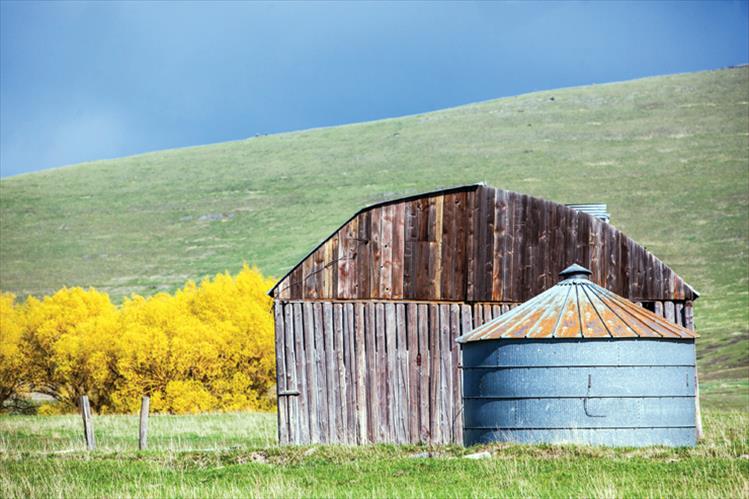 Valley View barn