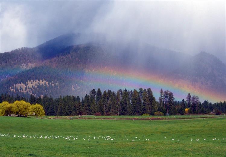 As a springtime rain shower sweeps through the valley, a bright rainbow paints the mountain horizon with color.