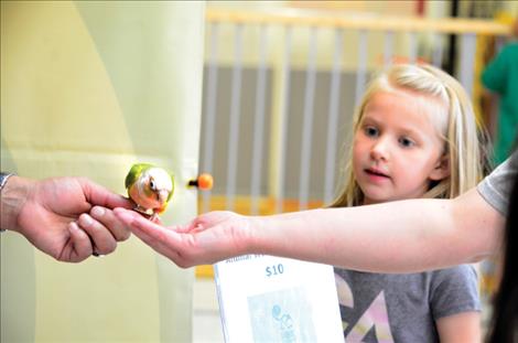 People feed bird seeds to a green-cheeked conures parakeet brought to the event by Animal Wonders Inc. 