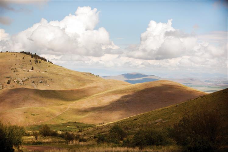 Bison Range