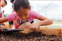 Community garden gets boost from business owners