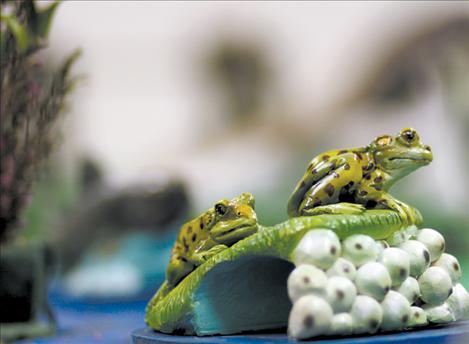 A froggy jungle gym teaches kids about biology while giving them a safe place to play.