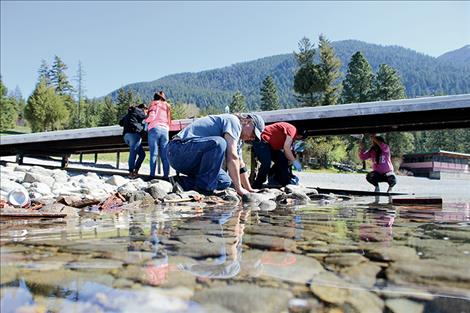 Michael Durglo, CSKT Environmental Protection Division manager, helps students scout for aquatic invasive species at Blue Bay during the spring.