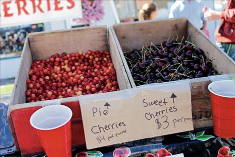 Sweet and pie cherries are sold.