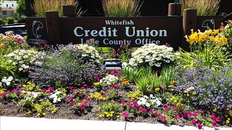 Second place: Whitefish Credit Union