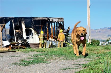  Residents of the home escape the early morning fire, including the pets.