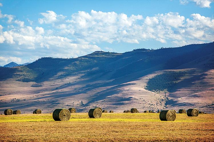 Moiese Valley