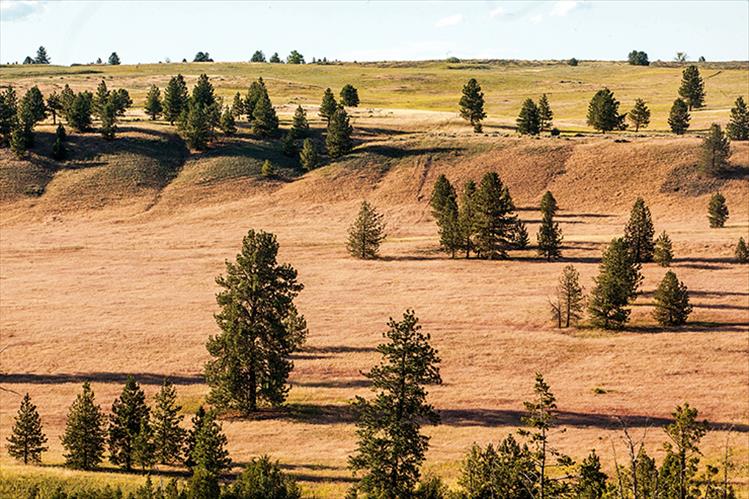 Moiese Valley