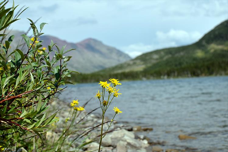 A Glacier lake