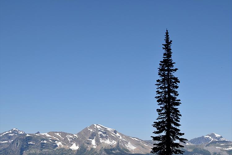 Glacier National Park