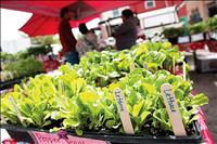 Polson Farmers Market celebrates 40 years