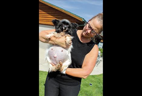 Lynette Duford holds Sarah, a pregnant older dog who lost her last tooth on Sunday.