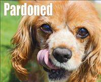 Dogs removed, case against puppy mill owners dismissed