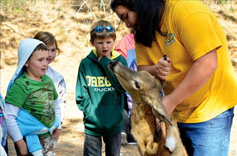 Students learn about harvesting a deer from start to finish.