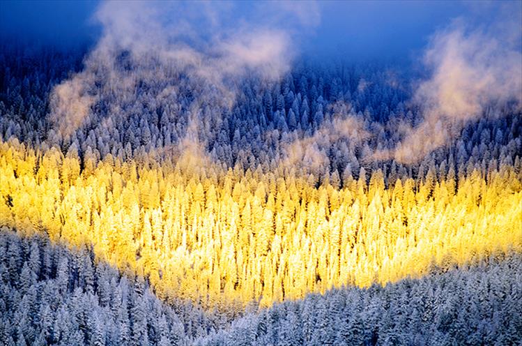 Snow settles over the trees in the Mission Mountains near St. Ignatius as the sun sets across the valley.