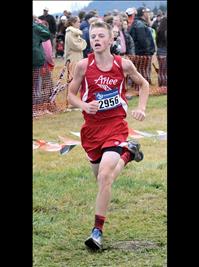 Runners excel at state meet