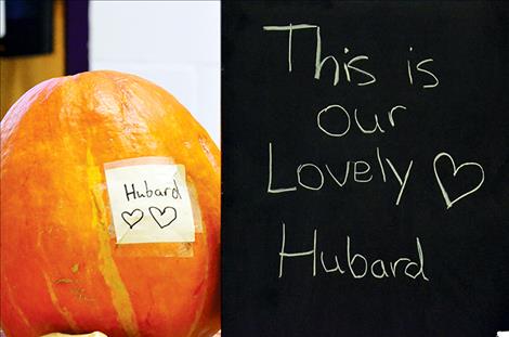 Hubard was supposed to be a cucumber.