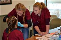 Students learn about healthcare careers