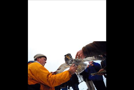 Denver Holt restrains a long-eared owl as it is measured. Although holding the owl causes stress, it will return to its tree to sleep after release.