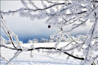 Below average temperatures,  more snow expected