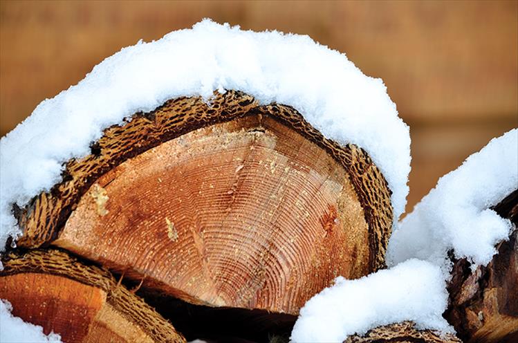 "Wood" you like more snow?  Recent snowfall blankets a stack of firewood.