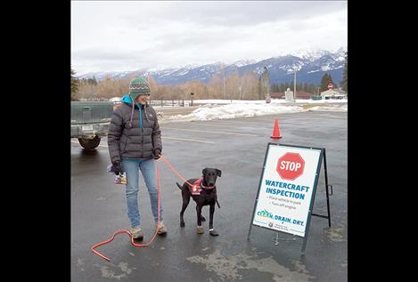 Deb Tirmenstein of Frenchtown had her black Labrador Ismay at an inspection station at Salish Kootenai College on Friday. The dog iis trained to detect aquatic invasive species.